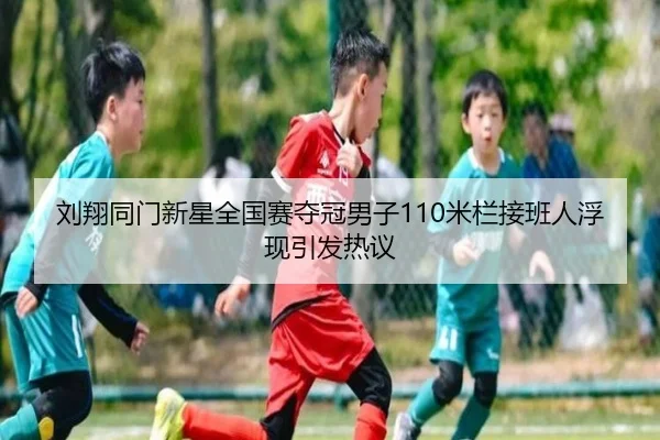 刘翔同门新星全国赛夺冠男子110米栏接班人浮现引发热议