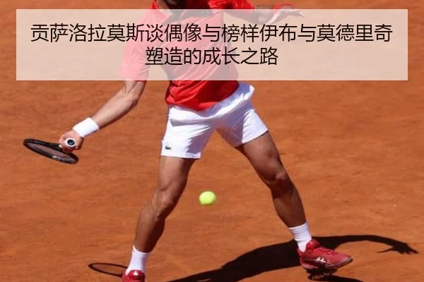 贡萨洛拉莫斯谈偶像与榜样伊布与莫德里奇塑造的成长之路