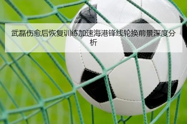 武磊伤愈后恢复训练加速海港锋线轮换前景深度分析